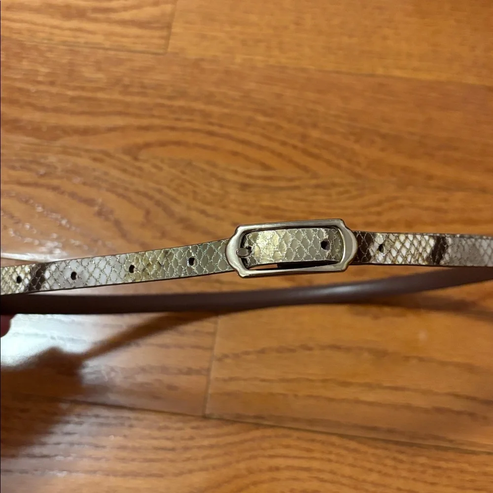 Ann Taylor Reversible Snake Print Belt Small Brown Waist Skinny Thin Tan Silver